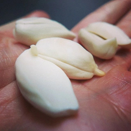 8 Ways Eating Pili Nuts Can Change Your Life