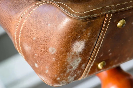 Say Goodbye to Mouldy Leather Bags: 8 Best Practices For Mould-Free Leather