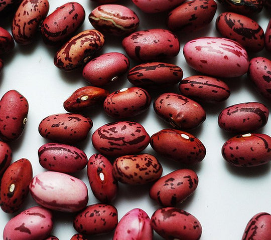 10 Easy Foods To Eat Everyday To Maintain A Healthy Life