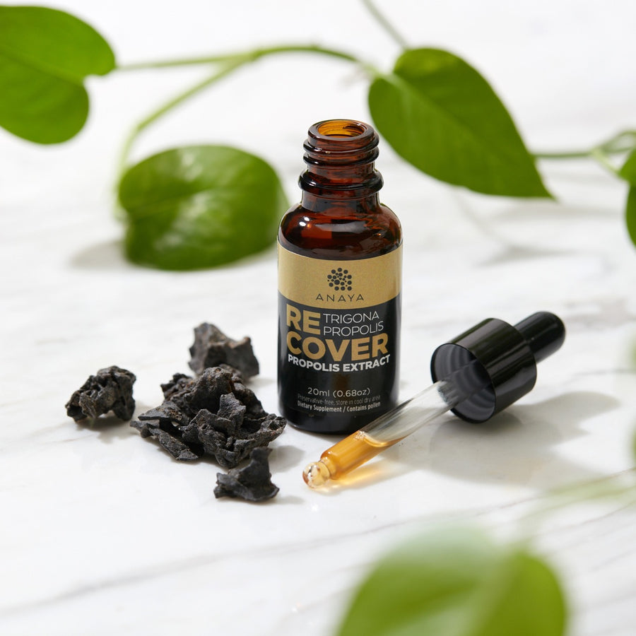 Immunity Boost Bundle