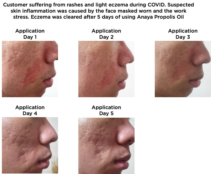 Trigona Propolis Oil 20ml