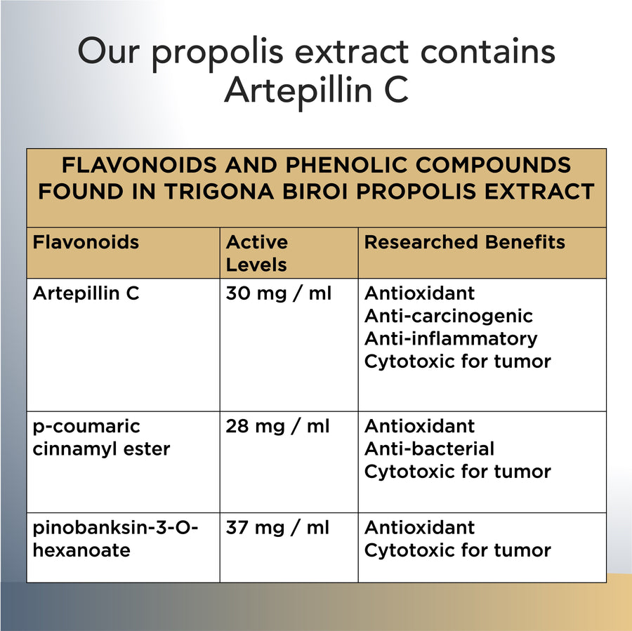 Trigona Propolis Extract (infused in olive oil) 20ml